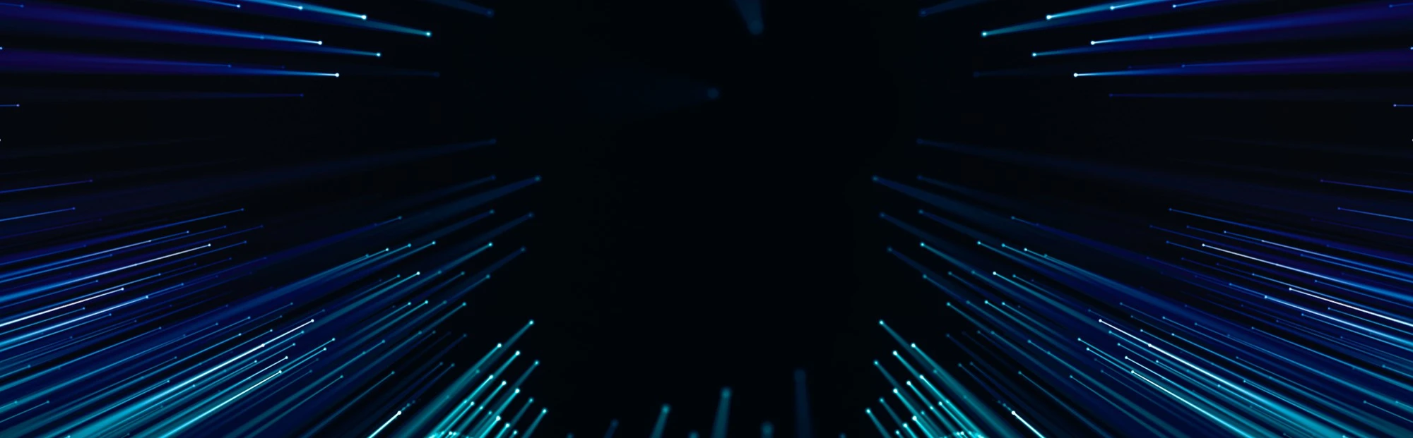 244